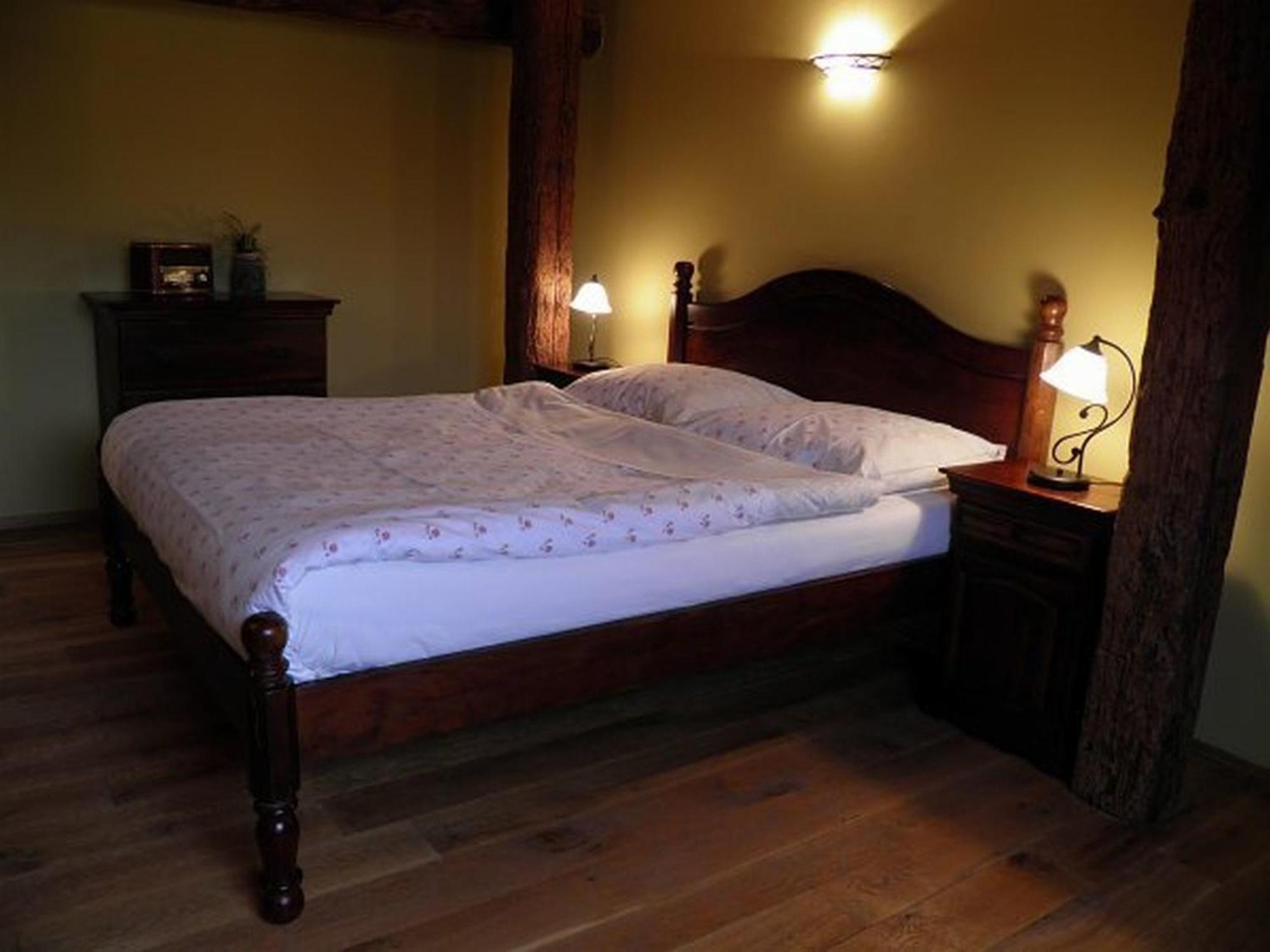Hotel Dvur Olsiny -Hotel And Horse-Riding Karvina